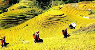 Sapa 3-Day Trekking Tour with Homestay & Hotel